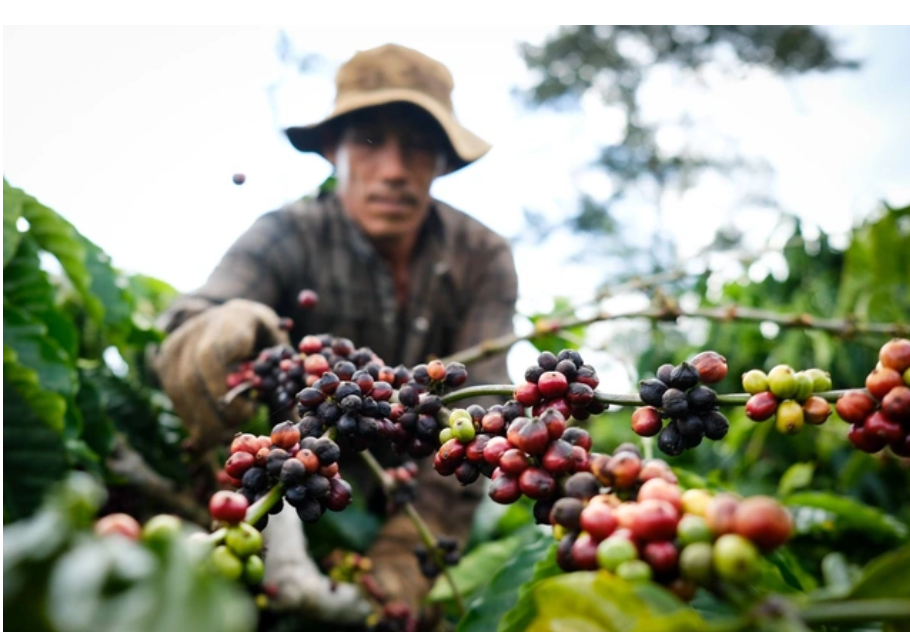 58 tỷ USD nông lâm thủy sản được xuất khẩu trong 10 tháng