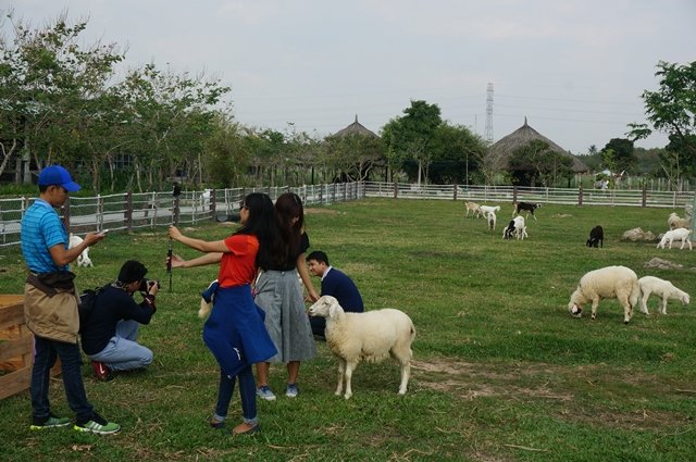 Dã ngoại ở nông trang xanh