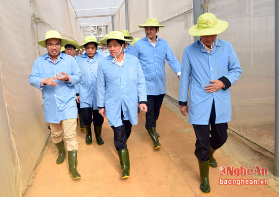 Thứ trưởng Bộ Nông nghiệp đánh giá cao mô hình sản xuất giống chanh leo của Nghệ An