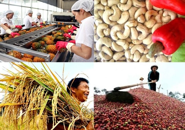 Kim ngạch xuất khẩu nông sản đạt 4.3 tỷ USD trong 2 tháng đầu năm