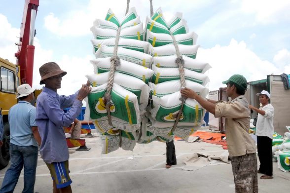 Xuất khẩu gạo Việt Nam: “Cánh cửa” ngày càng hẹp