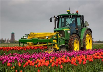 Kết nối giao thương nông nghiệp Hà Lan 