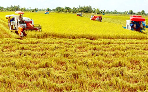 “Nhiều cơ chế đất đai đang cản trở phát triển nền nông nghiệp”
