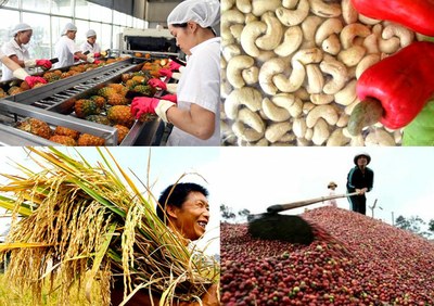 Thủ tướng Chính phủ ban hành Bộ Tiêu chí giám sát, đánh giá về cơ cấu lại ngành nông nghiệp đến năm 2020 với 15 tiêu chí.