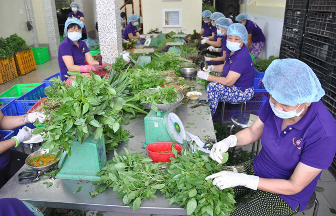 TP.HCM và Long An ký xây dựng chuỗi cung ứng nông sản an toàn