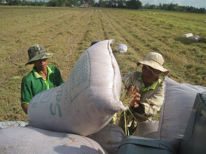 Rất ít doanh nghiệp nhận được hỗ trợ đầu tư vào nông nghiệp