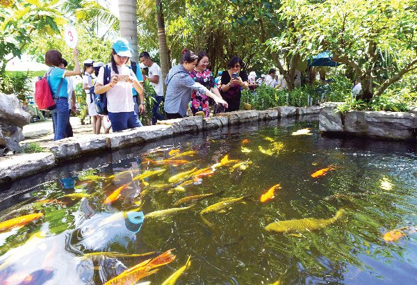 Mời du khách... làm nông