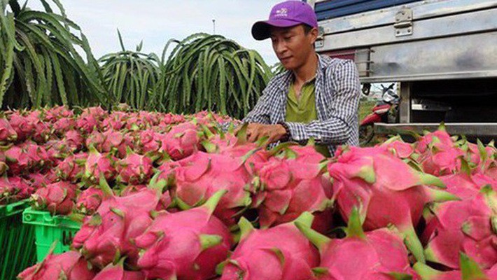 Vẫn đang "gỡ khó" cho xuất khẩu nông sản sang Trung Quốc