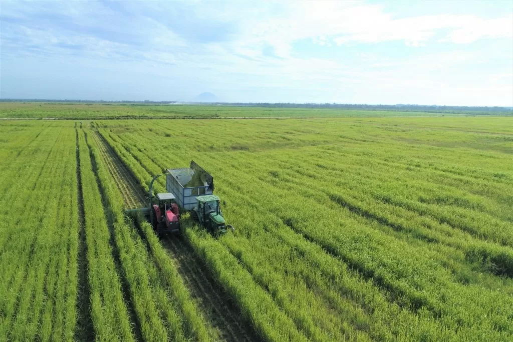 Tây Ninh thu hút thành công những 'cánh chim đầu đàn', phát triển nông nghiệp hiện đại, bền vững