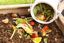 Biến rác thải thực phẩm thành nguồn lực cho nông nghiệp