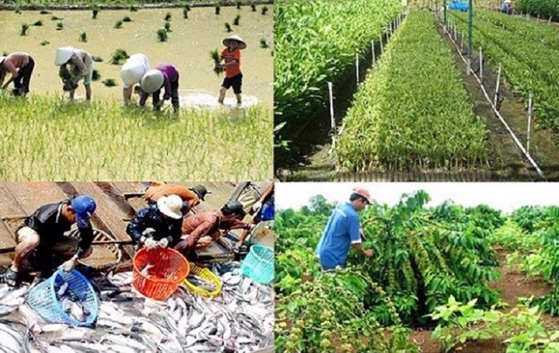 Bộ Nông nghiệp và Môi trường sẽ ban hành 58 thông tư trong năm 2025