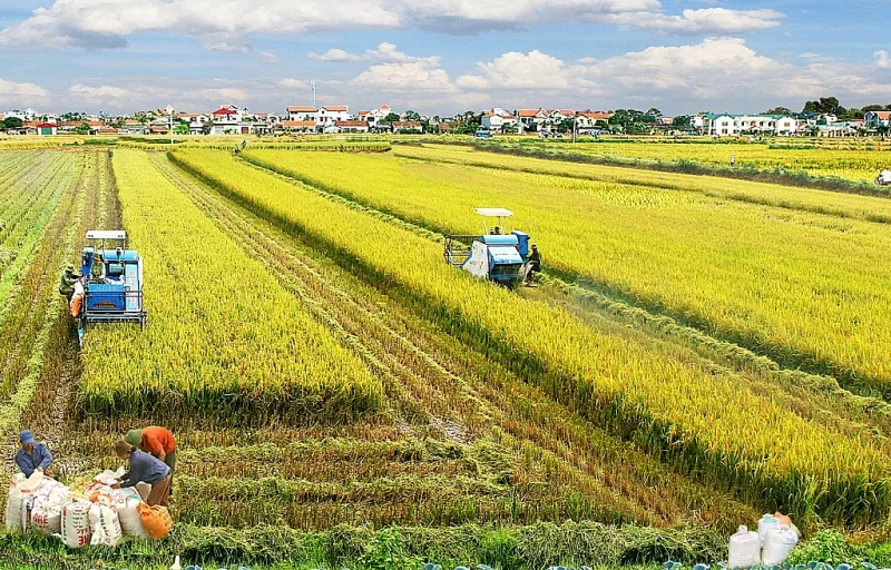 Bộ Tài chính đề xuất miễn tiền thuê đất lên tới 15 năm cho dự án đầu tư nông nghiệp