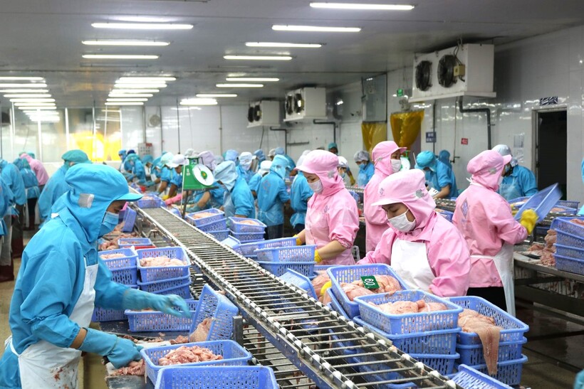 Cơ hội tạo đột phá hợp tác thương mại, đầu tư Việt Nam - Brazil