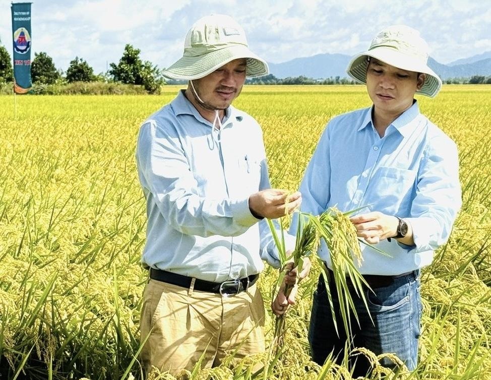 “Cửa thắng” cho nông nghiệp Việt trong sân chơi toàn cầu