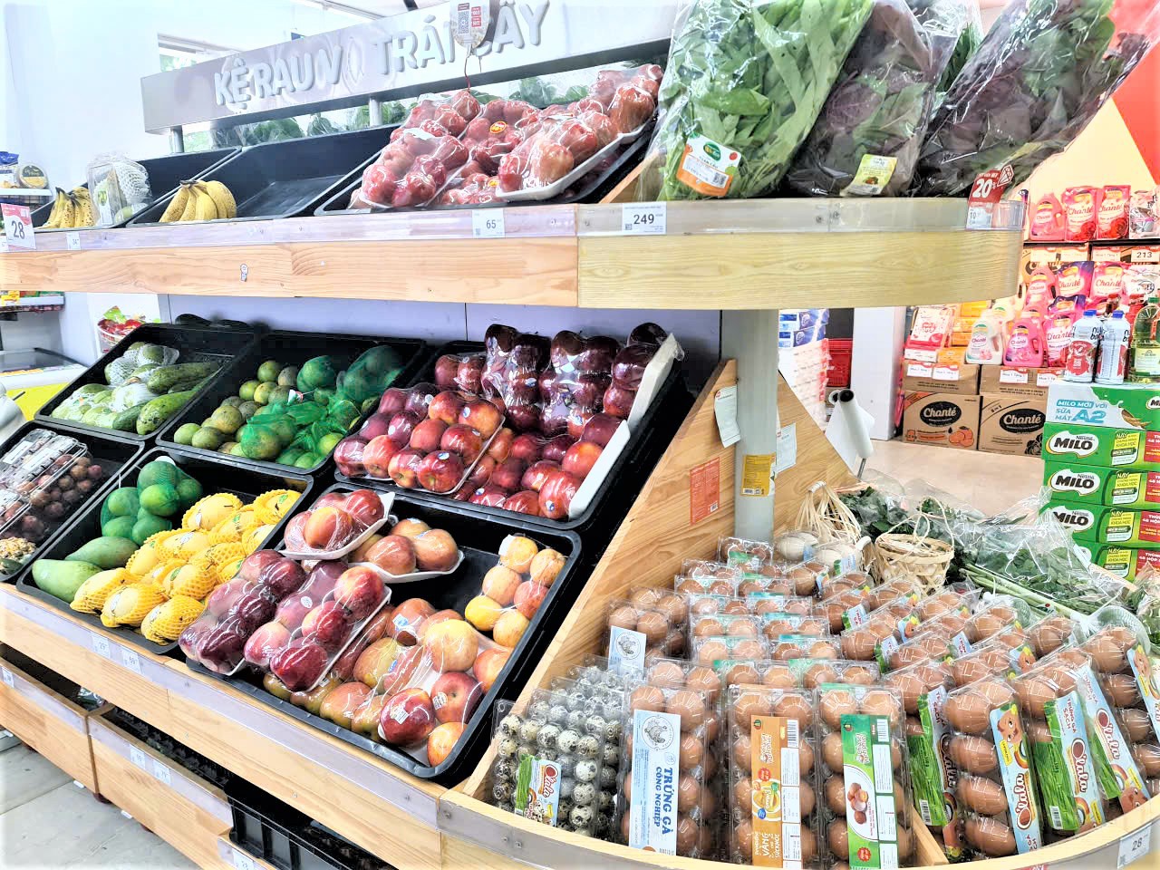Kết nối sản xuất và tiêu thụ nông sản các tỉnh vùng Bắc Trung bộ