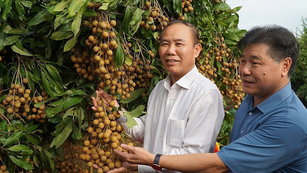 'Khoảng trống' đầu tư và ứng dụng R&D trong nông nghiệp