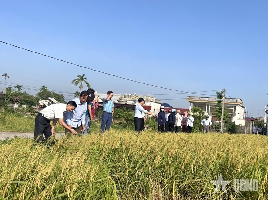 Liên kết chuỗi - đòn bẩy nâng cao giá trị nông nghiệp