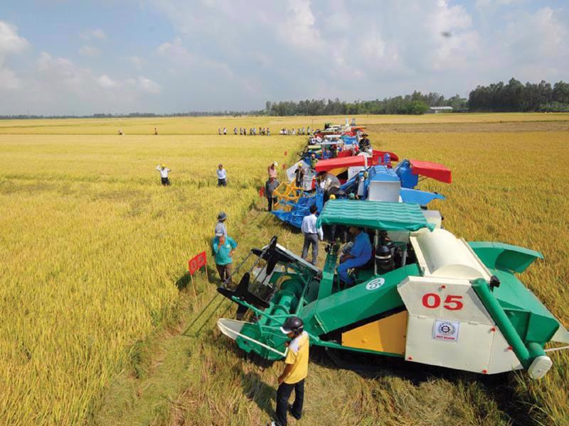 Miễn thuế sử dụng đất nông nghiệp phải đi kèm với ràng buộc, tránh tình trạng “ôm đất chờ thời”