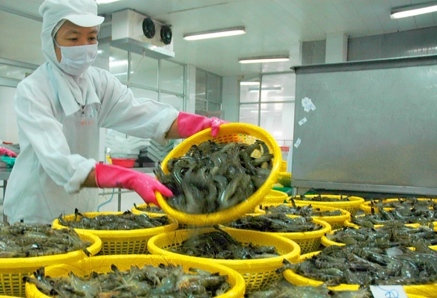 Ngành nông nghiệp hướng đến mục tiêu trên 25 tỷ USD trong 5 tháng cuối năm