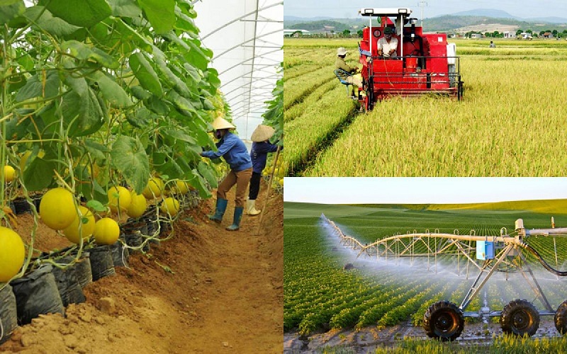 Ngành Nông nghiệp sẽ linh hoạt trong điều hành, tăng tốc xuất khẩu năm 2024
