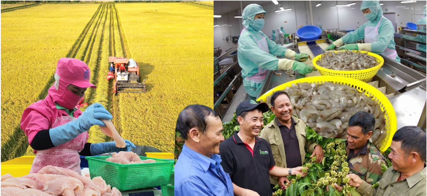 Nông nghiệp 2025: vượt rào cản, định hình tăng trưởng xanh