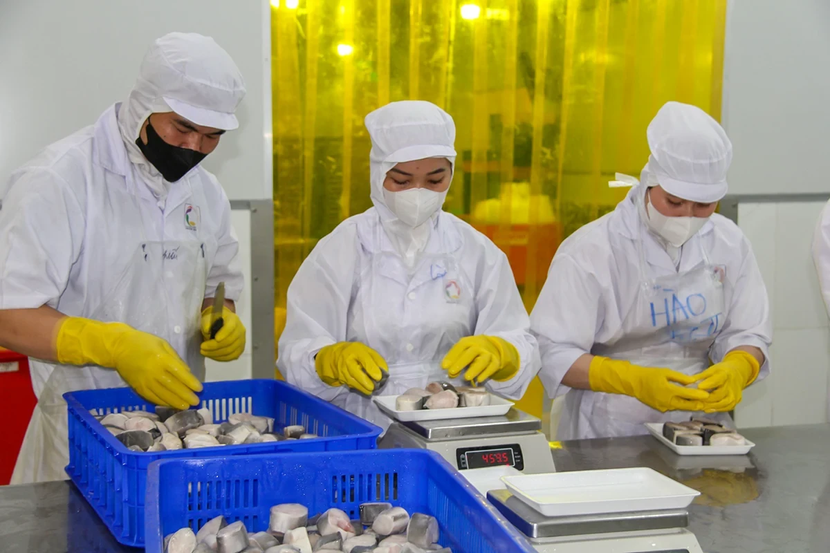 Quản lý chất lượng nông, lâm, thủy sản - nền tảng nâng sức cạnh tranh ngành nông nghiệp