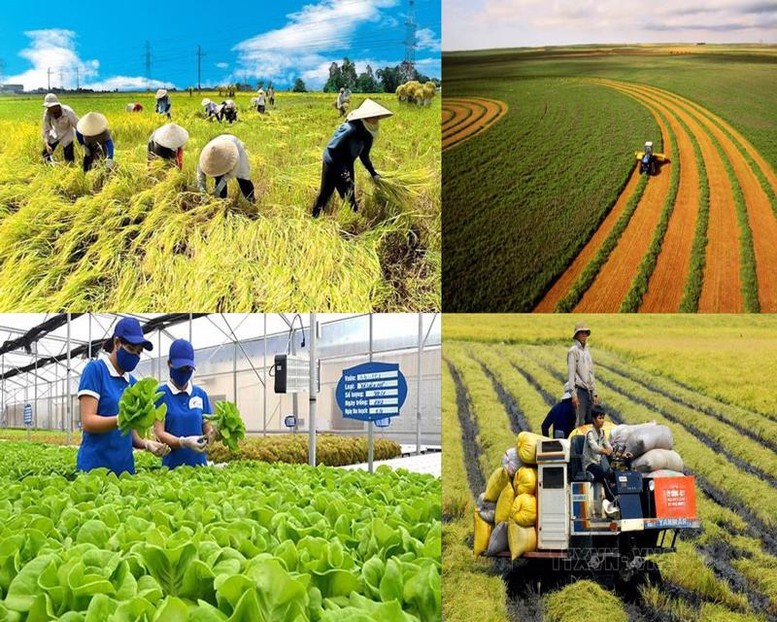 Ra mắt sổ tay hướng dẫn nhiệm vụ của chính quyền cấp xã lĩnh vực nông nghiệp và môi trường