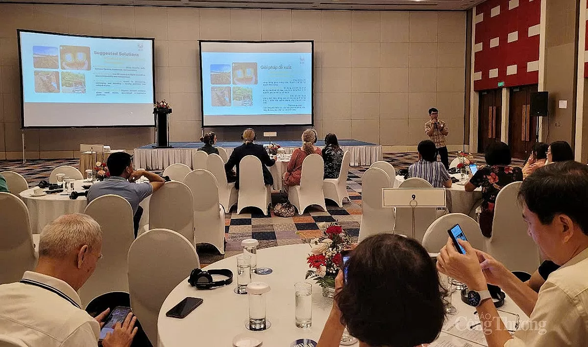 Sản phẩm hữu cơ chỉ chiếm khoảng 1,46% kim ngạch xuất khẩu