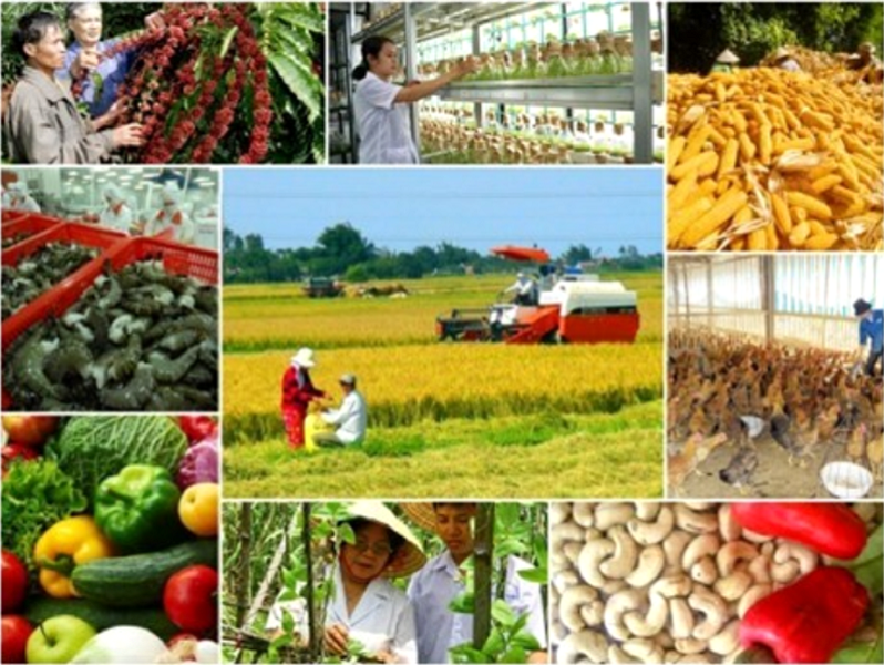 Sản xuất nông nghiệp 5 tháng đầu năm 2025: Nhiều tín hiệu tích cực