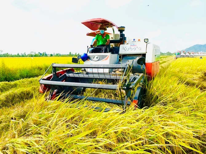 Tây Ninh - UAE bàn chuyện cung ứng nông sản sang Trung Đông