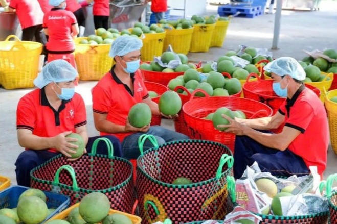 Thúc đẩy chuỗi giá trị xanh, tăng sức cạnh tranh cho nông sản