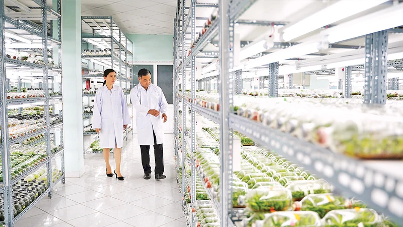 Thúc đẩy chuyển đổi số trong nông nghiệp