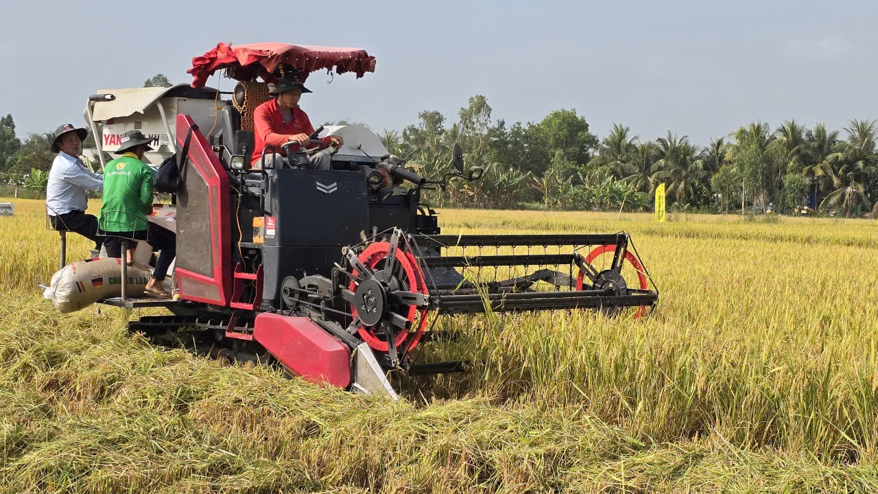 Trình diễn công nghệ nông nghiệp thúc đẩy chuỗi giá trị một triệu ha lúa chất lượng cao