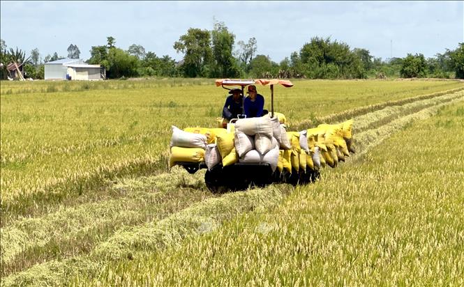 Từ vựa lúa cả nước, An Giang hướng tới trung tâm nông nghiệp hiện đại Từ vựa lúa cả nước, An Giang hướng tới trung tâm nông nghiệp hiện đại