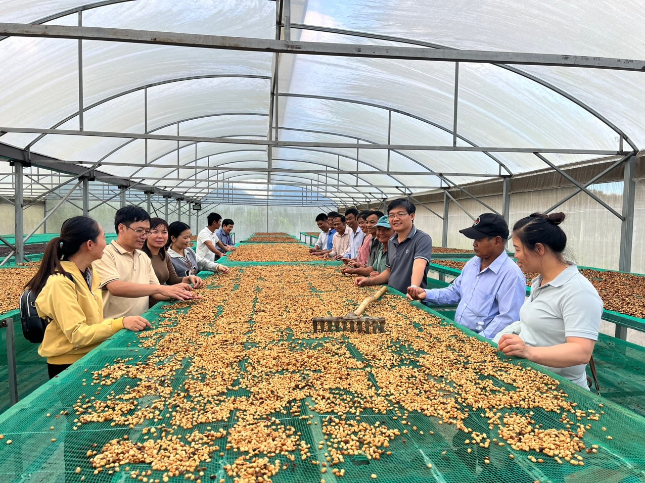 Ứng dụng công nghệ xanh, nâng sức cạnh tranh nông sản Việt