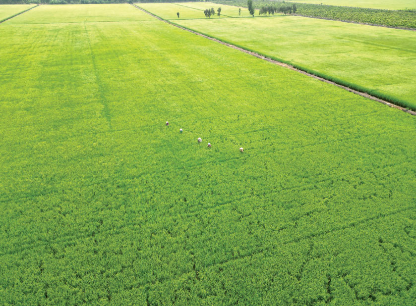 Việt Nam tham gia Liên minh ACF hướng đến nông nghiệp bền vững