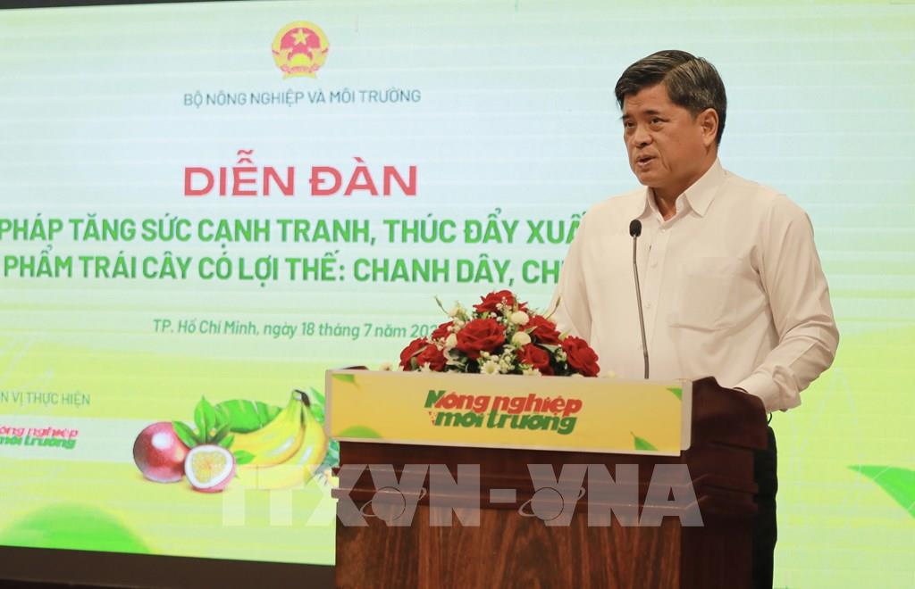 Xây dựng chiến lược xuất khẩu hiệu quả cho các loại trái cây tiềm năng