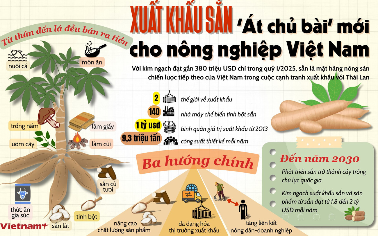 Xuất khẩu sắn - "át chủ bài" mới cho nông nghiệp Việt Nam?